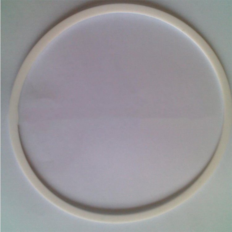 聚甲醛四氟挡圈导向环